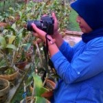 Profile picture of Nurlatifah Mahfudz